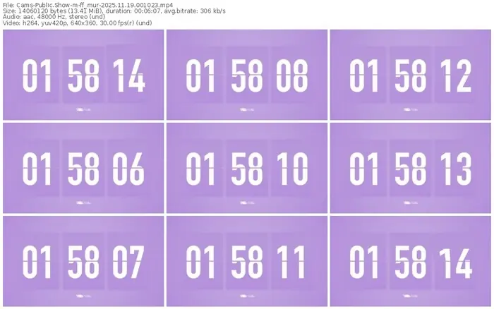 cams-ff_mur-11-19-2025-00-10-23