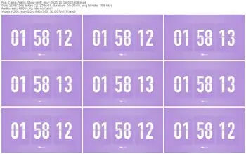 cams-ff_mur-11-19-2025-00-24-08