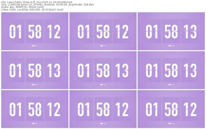 cams-ff_mur-11-19-2025-00-24-08