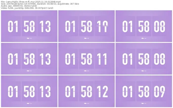 cams-ff_mur-11-19-2025-01-28-48