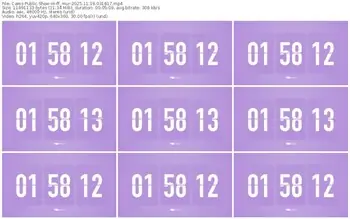 cams-ff_mur-11-19-2025-03-18-17