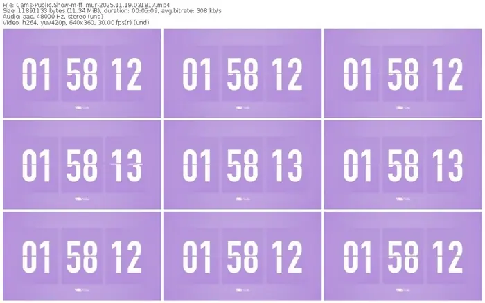 cams-ff_mur-11-19-2025-03-18-17