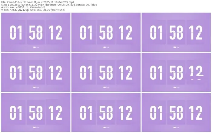 cams-ff_mur-11-19-2025-04-12-09