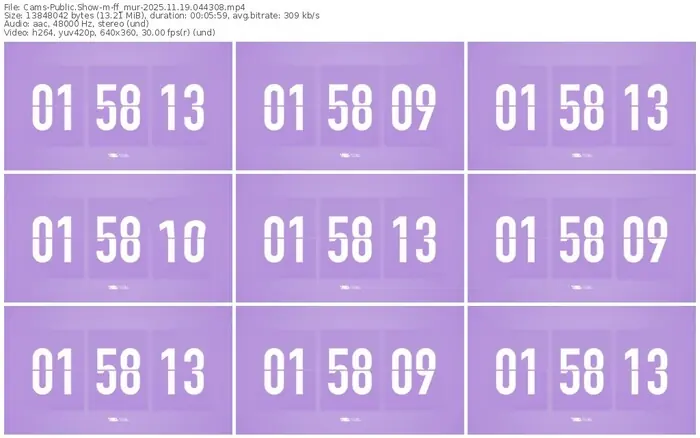 cams-ff_mur-11-19-2025-04-43-08
