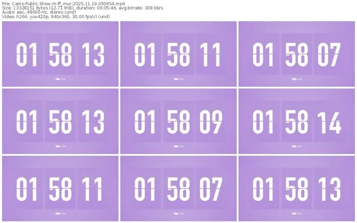 cams-ff_mur-11-19-2025-05-06-54