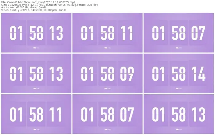 cams-ff_mur-11-19-2025-05-27-05