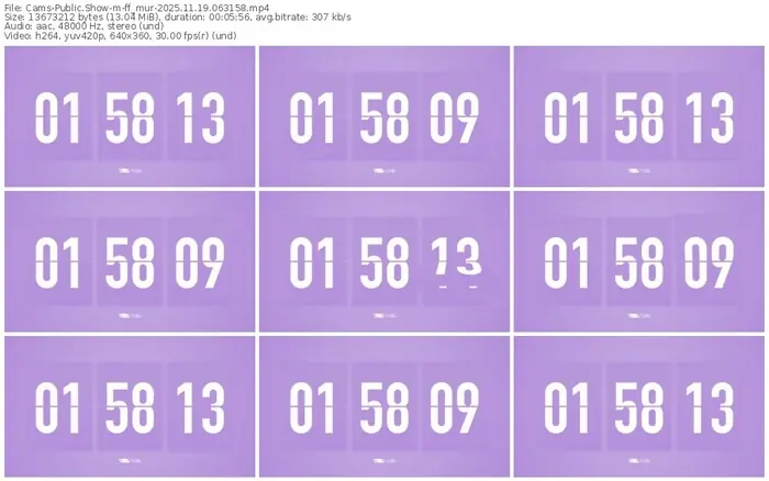 cams-ff_mur-11-19-2025-06-31-58