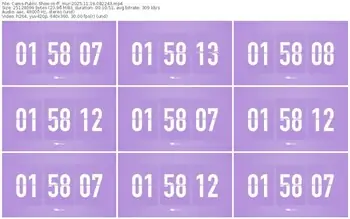 cams-ff_mur-11-19-2025-08-22-43