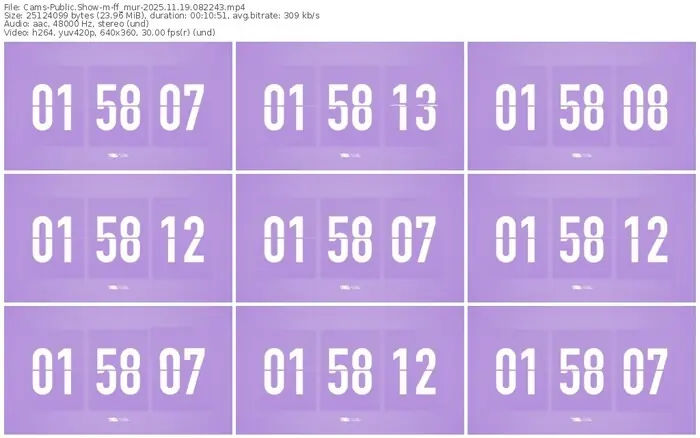 cams-ff_mur-11-19-2025-08-22-43