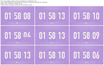 cams-ff_mur-11-19-2025-09-02-31