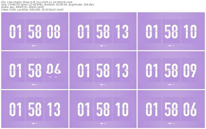 cams-ff_mur-11-19-2025-09-02-31