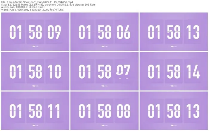 cams-ff_mur-11-19-2025-09-46-56