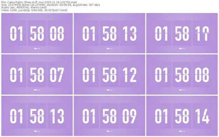 cams-ff_mur-11-19-2025-10-27-02