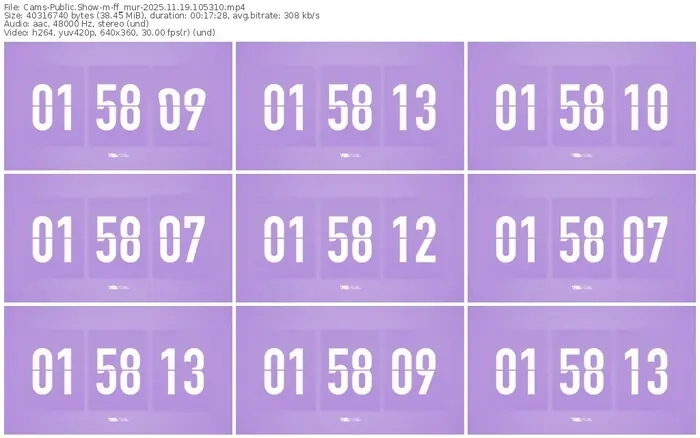 cams-ff_mur-11-19-2025-10-53-10