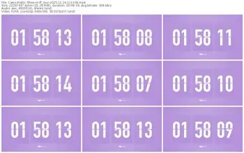 cams-ff_mur-11-19-2025-11-11-09