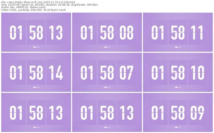 cams-ff_mur-11-19-2025-11-11-09