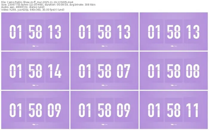 cams-ff_mur-11-19-2025-11-56-05