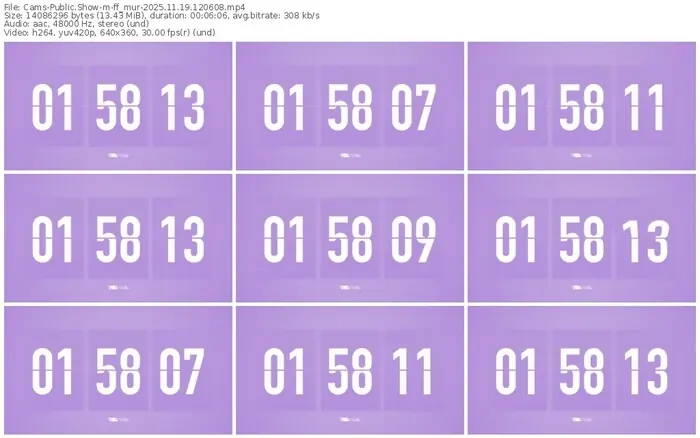 cams-ff_mur-11-19-2025-12-06-08