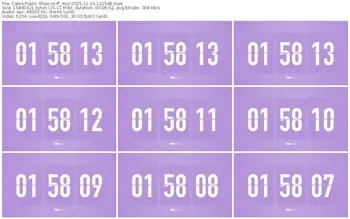 cams-ff_mur-11-19-2025-12-25-48