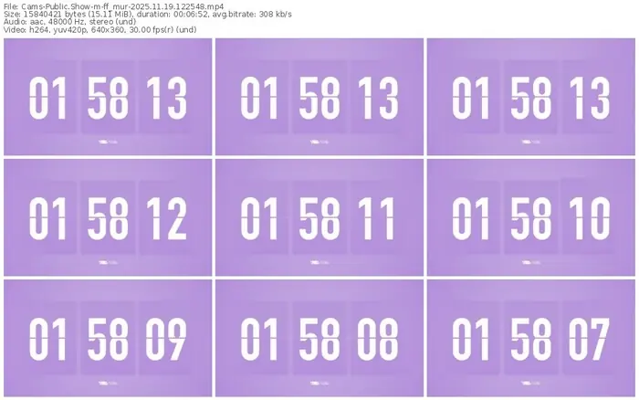 cams-ff_mur-11-19-2025-12-25-48