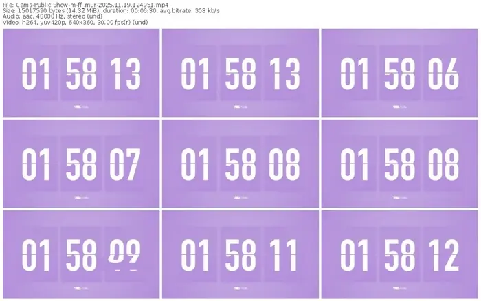 cams-ff_mur-11-19-2025-12-49-51