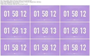 cams-ff_mur-11-19-2025-12-57-39