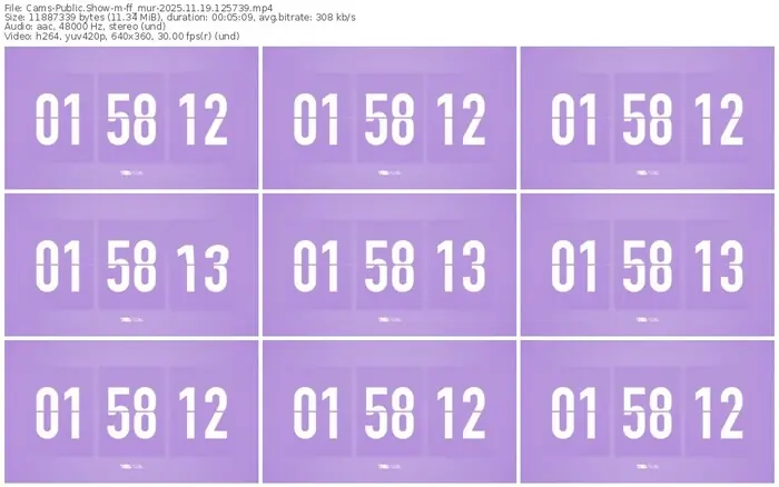 cams-ff_mur-11-19-2025-12-57-39