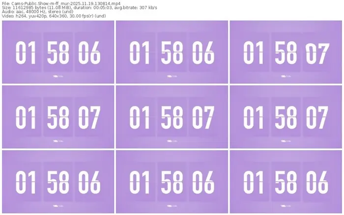 cams-ff_mur-11-19-2025-13-08-14