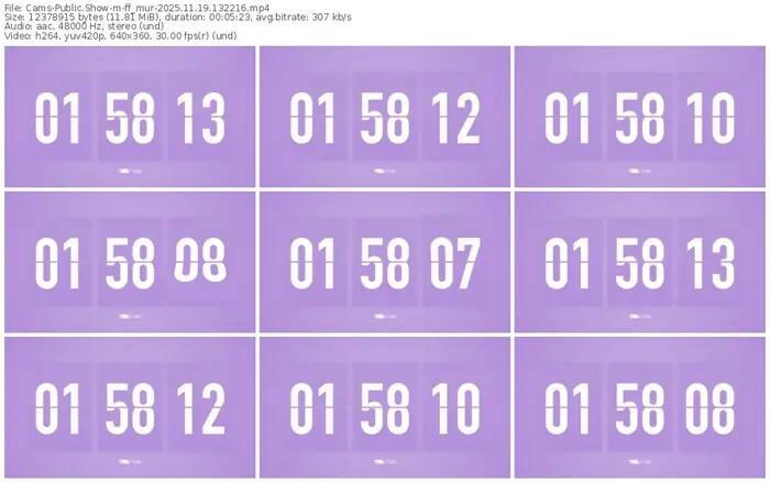 cams-ff_mur-11-19-2025-13-22-16