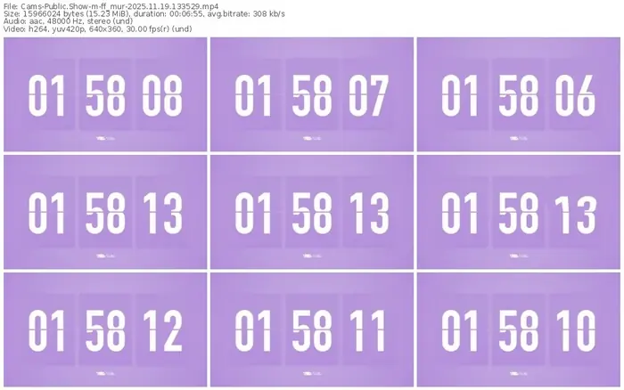 cams-ff_mur-11-19-2025-13-35-29