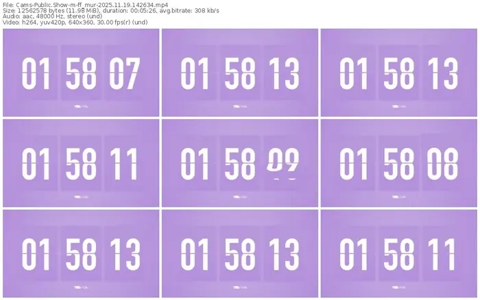 cams-ff_mur-11-19-2025-14-26-34