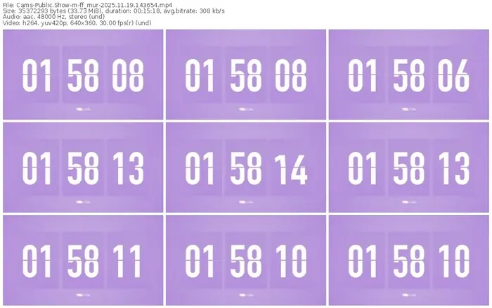 cams-ff_mur-11-19-2025-14-36-54