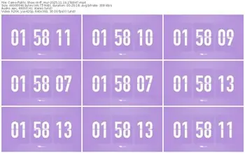 cams-ff_mur-11-19-2025-15-00-47