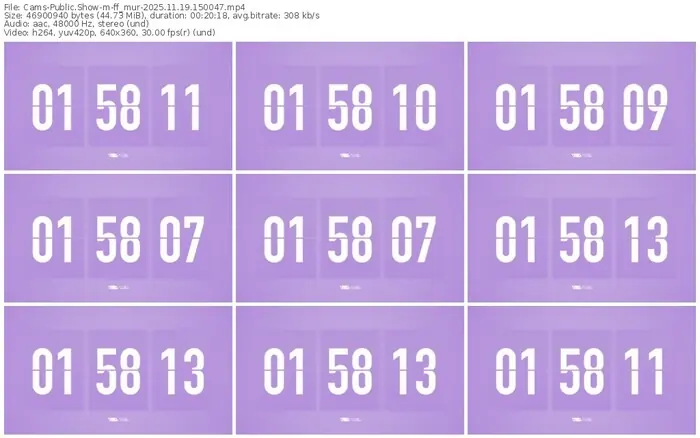 cams-ff_mur-11-19-2025-15-00-47