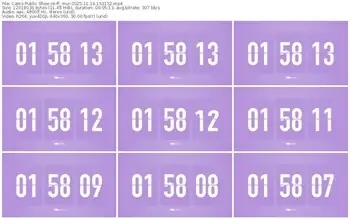 cams-ff_mur-11-19-2025-15-31-52