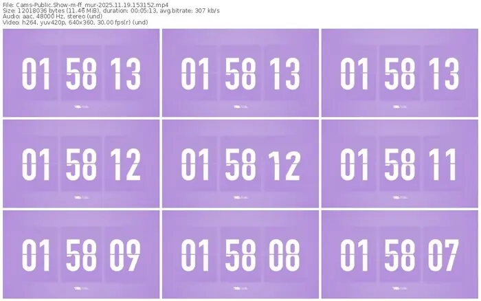 cams-ff_mur-11-19-2025-15-31-52