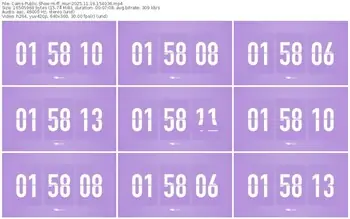 cams-ff_mur-11-19-2025-15-40-36