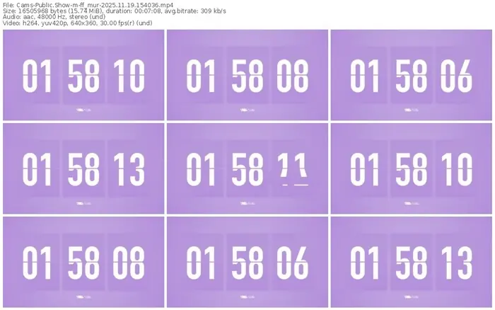 cams-ff_mur-11-19-2025-15-40-36
