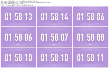 cams-ff_mur-11-19-2025-15-47-45