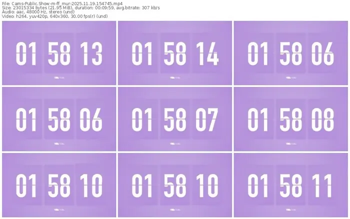 cams-ff_mur-11-19-2025-15-47-45