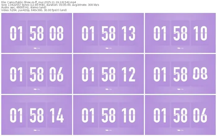 cams-ff_mur-11-19-2025-16-15-42