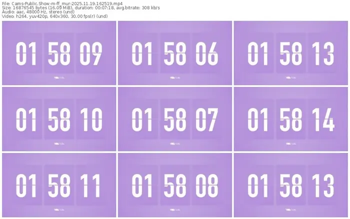 cams-ff_mur-11-19-2025-16-25-19