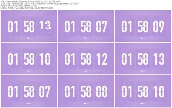 cams-ff_mur-11-19-2025-16-32-58