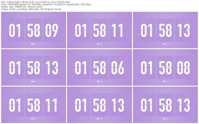 cams-ff_mur-11-19-2025-17-03-53