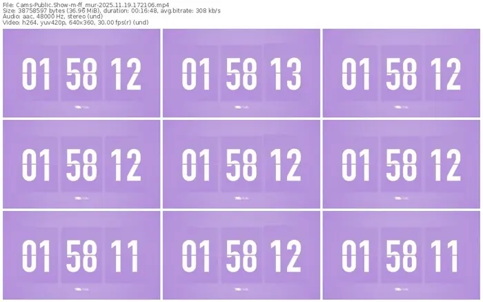 cams-ff_mur-11-19-2025-17-21-06