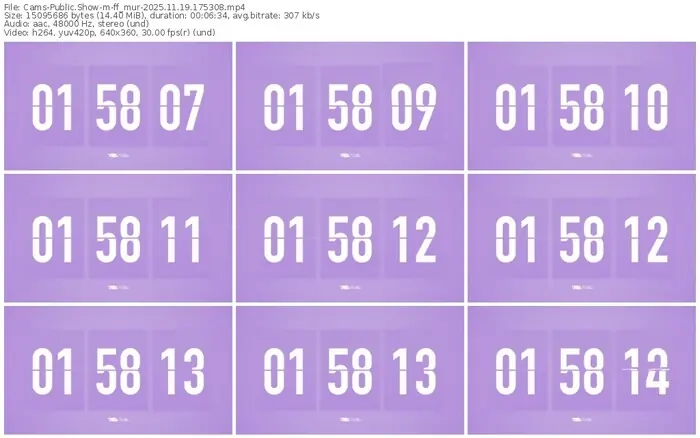 cams-ff_mur-11-19-2025-17-53-08
