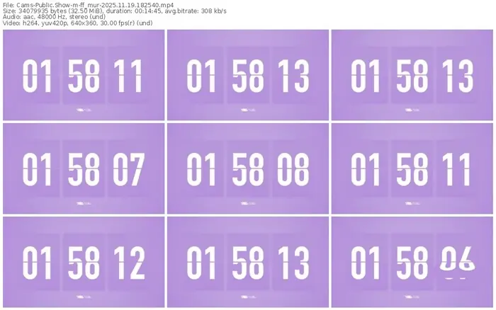 cams-ff_mur-11-19-2025-18-25-40