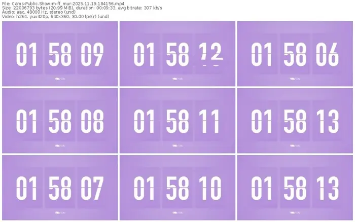 cams-ff_mur-11-19-2025-18-41-56