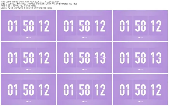cams-ff_mur-11-19-2025-19-16-23