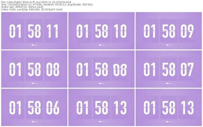 cams-ff_mur-11-19-2025-19-26-33